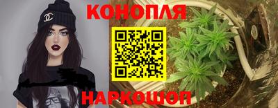 сатива Ярославль